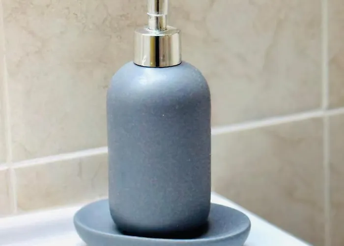 Nova * 阿尔布费拉