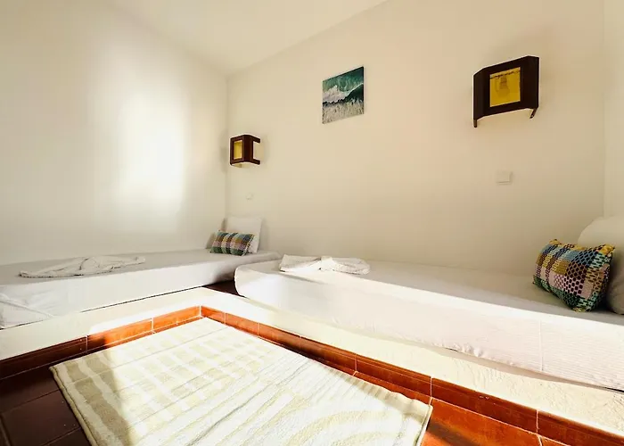 Nova * 阿尔布费拉