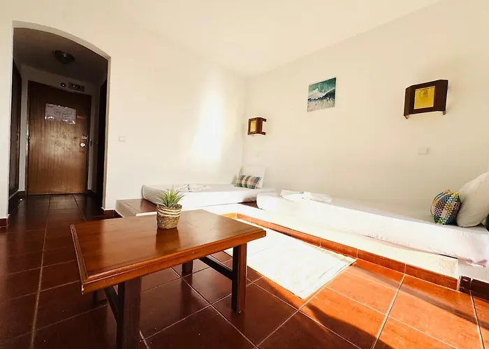 Nova 阿尔布费拉